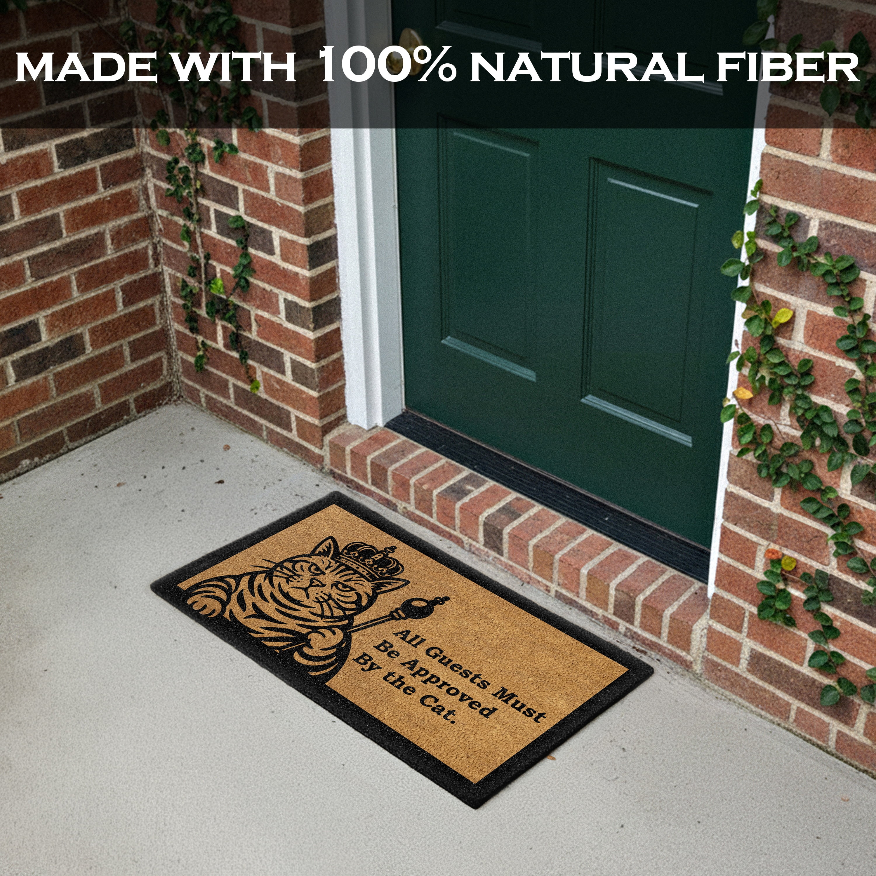 MAINEVENT Cat Approved Coir Doormat 30x17 Inch, Funny Outdoor Welcome Mat for Outside