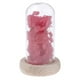 thumbnail image 4 of Flor seca en botella perfecl MicroLandscape rojo, 4 of 8