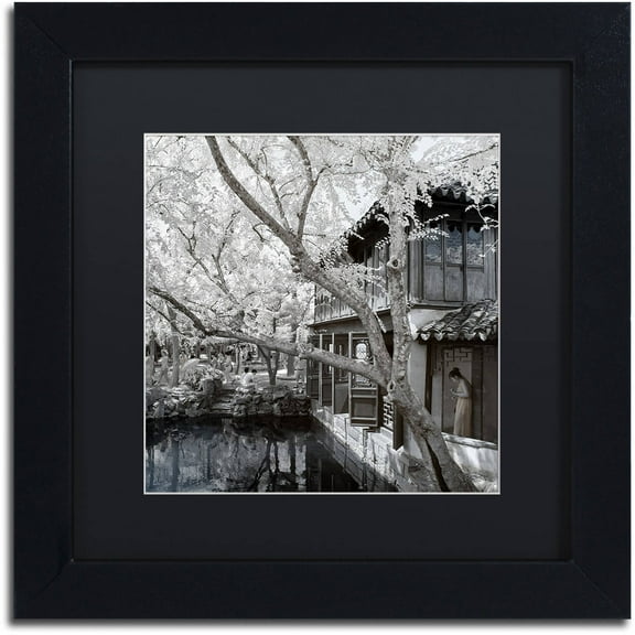 Trademark Fine Art "Reflections" Canvas Art by Philippe Hugonnard, Black Matte, Black Frame