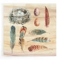 thumbnail image 1 of Epic Art 'Spiced Nature X' by Lisa Audit, Acrylic Glass Wall Art, 12"x12", 1 of 8