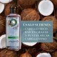 thumbnail image 2 of Shampoo Herbal Essences Hidrata Agua de Coco & Jazmín 240 ml, 2 of 5
