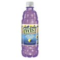 Nature's Twist SugarFree Blueberry Lemon 16.9 fl (24 Pack)