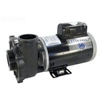 Waterway Executive 56 Frame Spa Pump 4 HP 230V 3721621-13