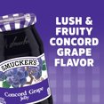 thumbnail image 2 of Smucker's Concord Grape Jelly 18 oz. (Pack of 4), 2 of 3