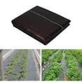 thumbnail image 6 of Black Barrier Landscape Fabric for Garden, Greenhouse, Flower Beds - 1.5x1meter, 6 of 10