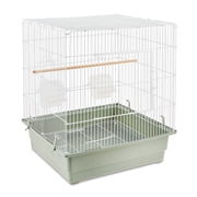 Vibrant Life Small Bird Cage with Perch, Plastic Hooded Cup & Tray for Parakeets & Finches, White