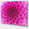 thumbnail image 2 of Grande Fleur Rose et Pétales - Impression sur Toile Florale, 2 of 3