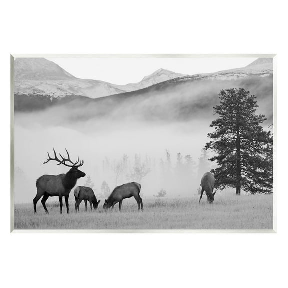 Stupell Industries Foggy Rural Deer Grazing Photograph Unframed Art Print Wall Art, Design by Danita Delimont