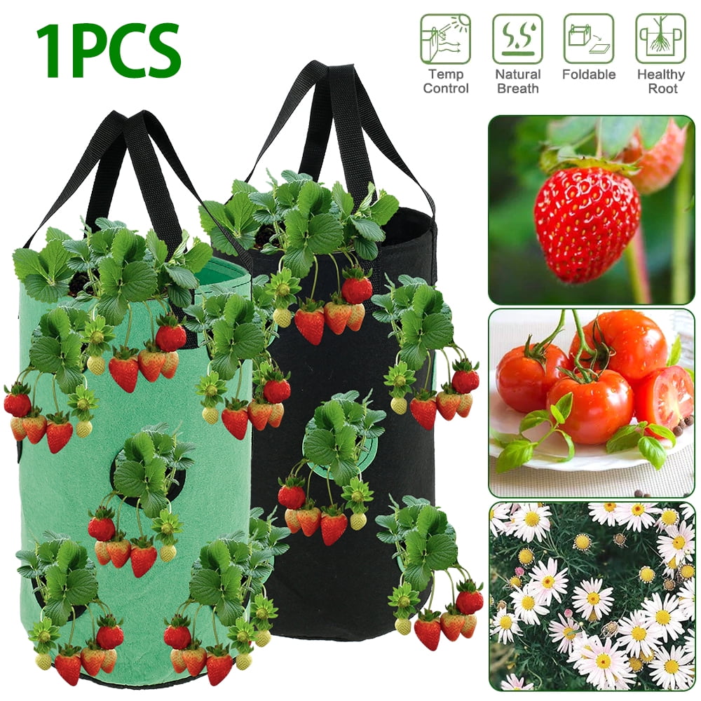 Details about   3L Fabric Hanging Planter Grow Bag Plant Pouch Tomato Strawberry Flower Herb Bag 