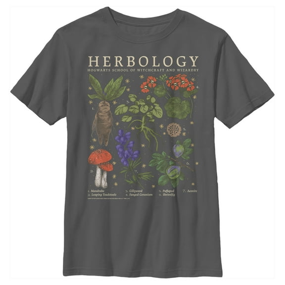 Boy's Harry Potter Hogwarts Herbology Graphic Tee Charcoal Small