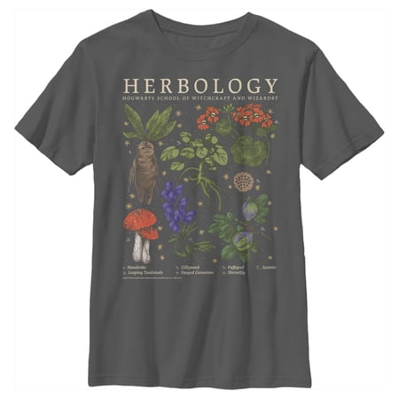 Boy s Harry Potter Hogwarts Herbology Graphic Tee Charcoal Medium