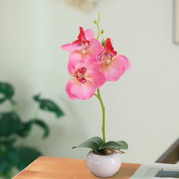 EDHITNR Artificial Phalaenopsis Orchid, Silk Flower Bonsai in Ceramic Pot, Lifelike Fake Flowers for Home Decor Wedding Table Centerpiece