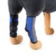 thumbnail image 4 of Suave puede acariciar la herida del perro lactante y aliviar el dolor en las articulaciones del perro, y no afectará la movilidad de su perro.-S, 4 of 5