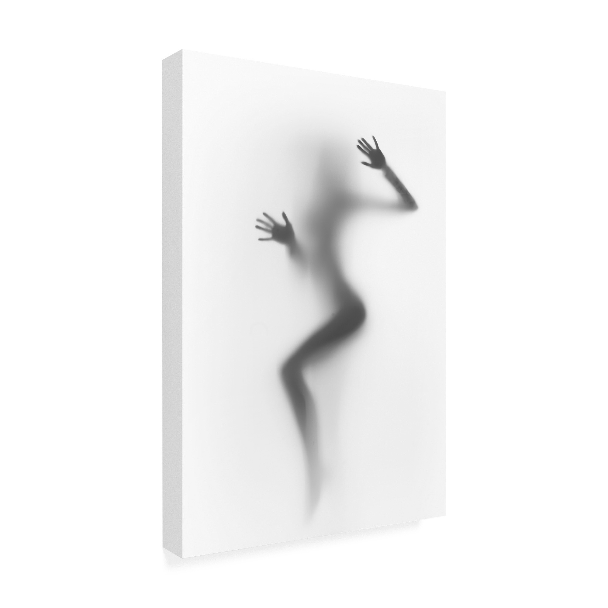 Trademark Fine Art 'Flattened' Canvas Art by Incado