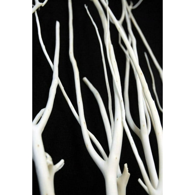 Mitsumata Branches 4 Foot Decorative Branches for Sale Case of 12 Bunches - 4 Feet