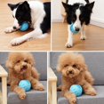 thumbnail image 5 of Dog Chew Ball Rubber: Bouncy Interactive Dog Squeaky Ball Puppy Toothbrush Toy, 5 of 5