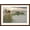 Brown Frame, variant on Art.com Sea Oats on Gulf of Mexico at South Padre Island, Texas, USA Photographic Print by Larry Ditto, 18" x 12"