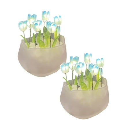 

Sanamity Desktop Ornament 2 Pack Potted Night Light Diy Artificial Potted Flowers With Light Night Light Diy Night Light Mini Potted Desktop Ornament Anime Tiangiki Minimalist Desktop Decoration