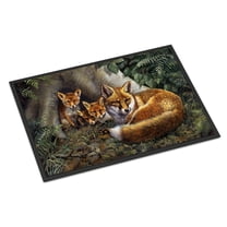 A Family of Foxes at Home Door Mat