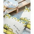 thumbnail image 2 of Pack of 2 Outdoor Pillow Covers, Rustic Vintage Wood Grain Board Brown Farm Lemons Waterproof Square Throw Pillowcase Cushion Decorative Pillow Covers for Couch Patio Tent, 16x16 in, 2 of 6