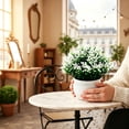 thumbnail image 4 of 2 Pcs Mini Artificial Plant, Non-Fading Potted Fake Plants with Planter Pot Decorative Photo Props Plastic Desktop Decorative Faux Plant for Home Desk Room Decoration, 4 of 5