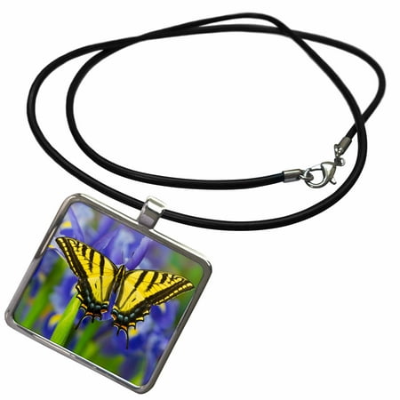 - 3dRose Two-tailed Swallowtail Butterfly on Dutch Iris - Necklace with Pendant (ncl_249978_1)