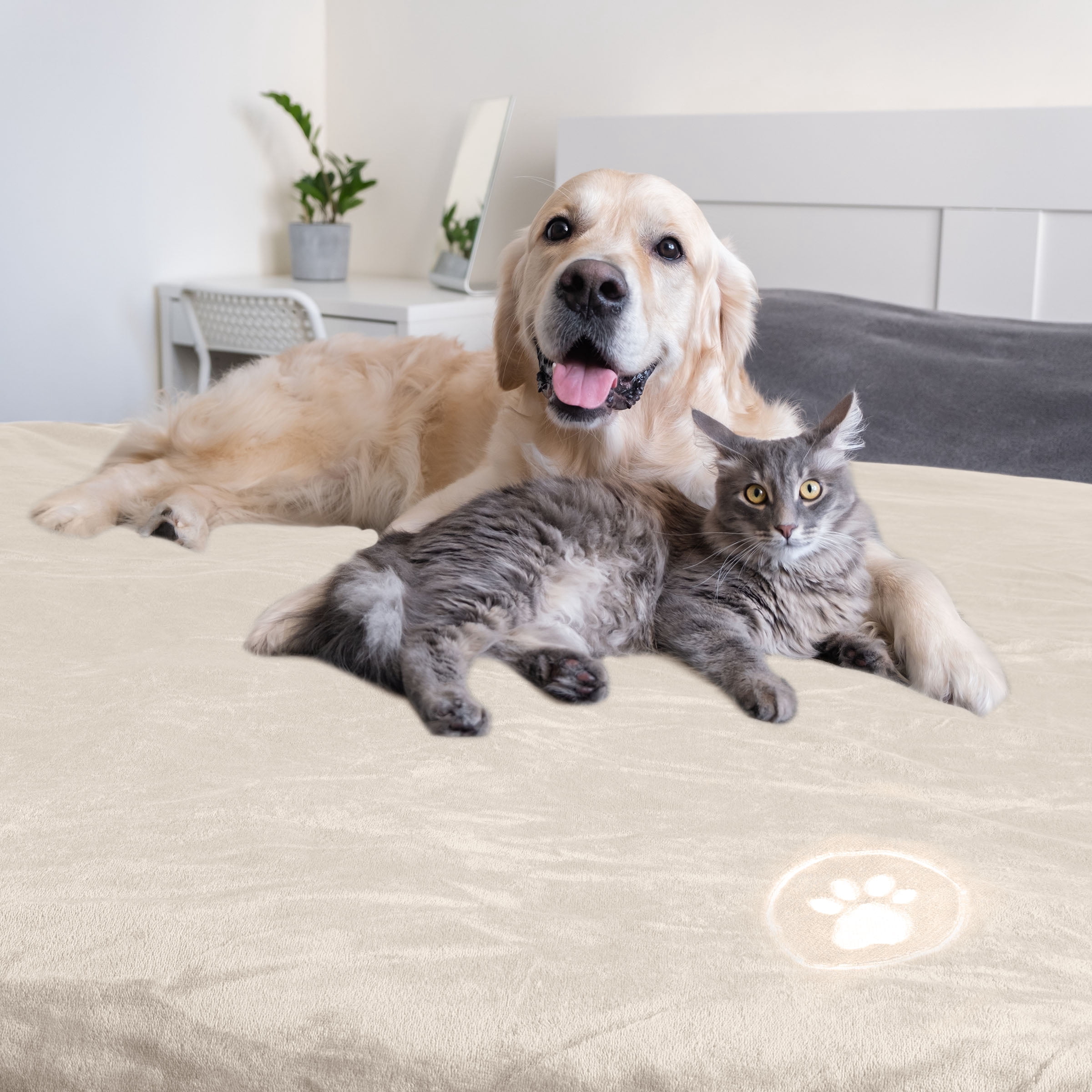 PETMAKER Dog Blanket - 60x80in Sherpa Blanket for Bed, Couch or Car (Cream)