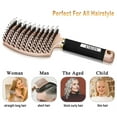 thumbnail image 6 of KTKUDY Detangling Brush Boar Bristles Hair Brush Set of 2 Make Hair Shiny & Healthier Curved and Vented Detangler Brush for Women Men Kids Wet and Dry Hair, 6 of 8