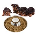 thumbnail image 1 of Cuenco De Alimentación Lenta Para Perros, Cuenco De Alimentación Lenta Para Perros Cachorros, Uso Conveniente De Acero Inoxidable Para Interiores, 1 of 7