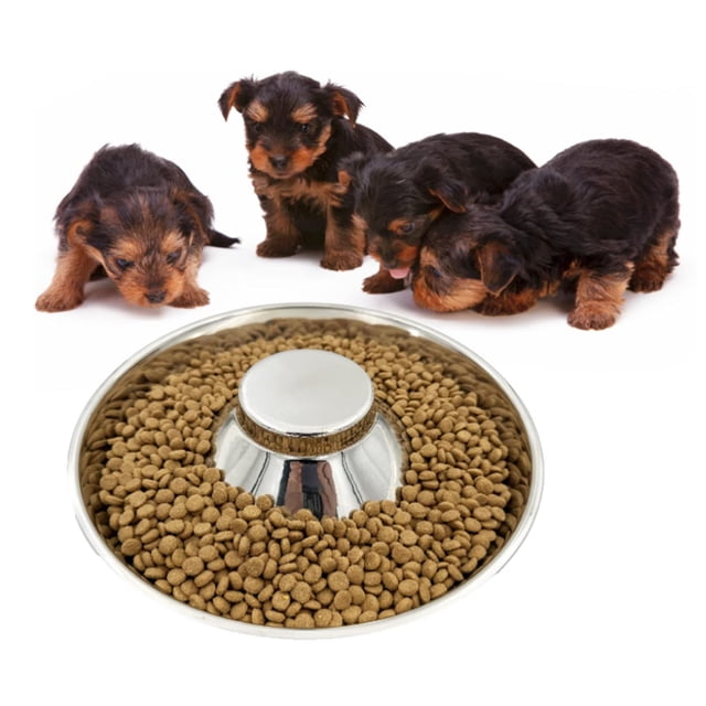Cuenco De Alimentación Lenta Para Perros, Cuenco De Alimentación Lenta Para Perros Cachorros, Uso Conveniente De Acero Inoxidable Para Interiores