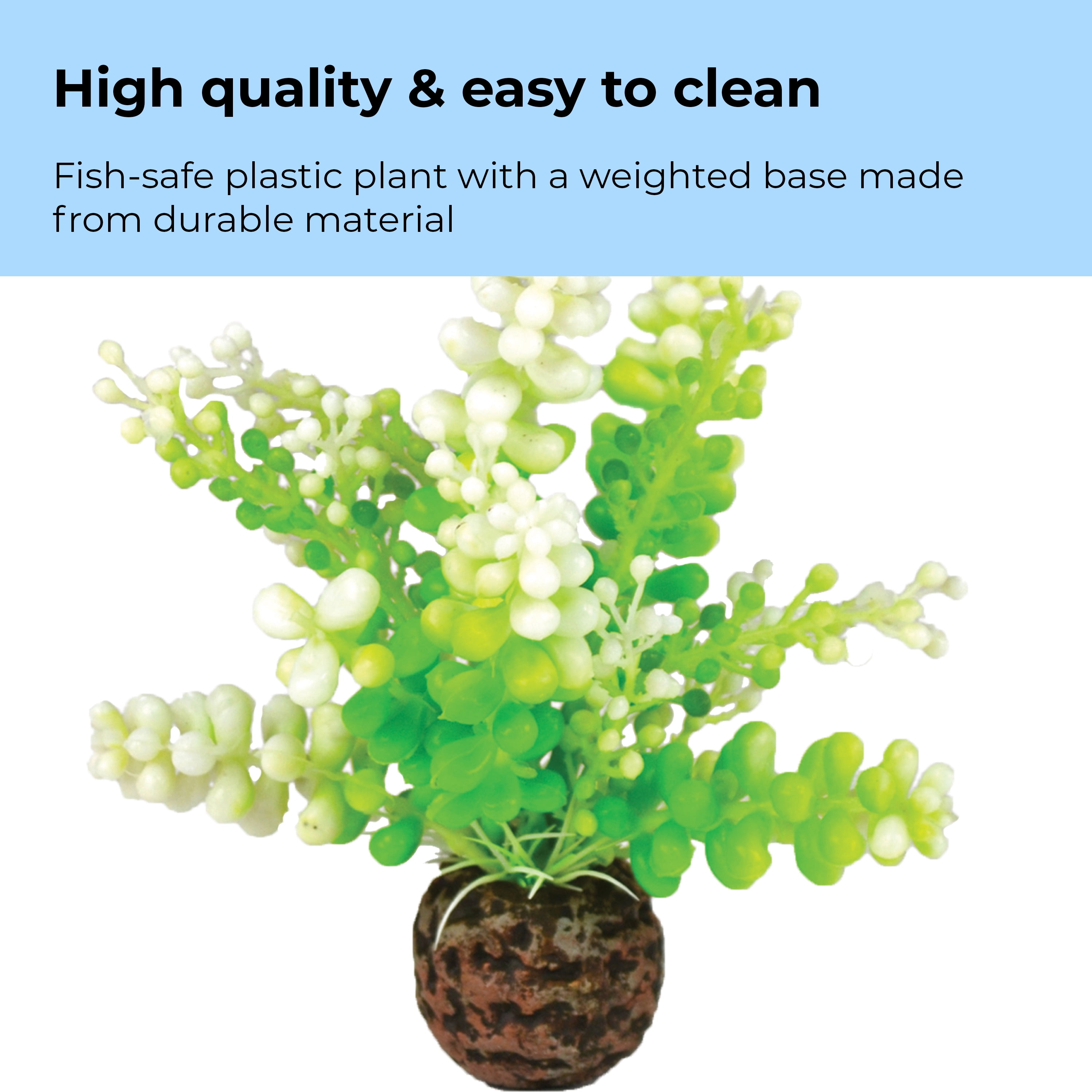 biOrb Green Caulerpa - Small Aquarium Plant Decoration