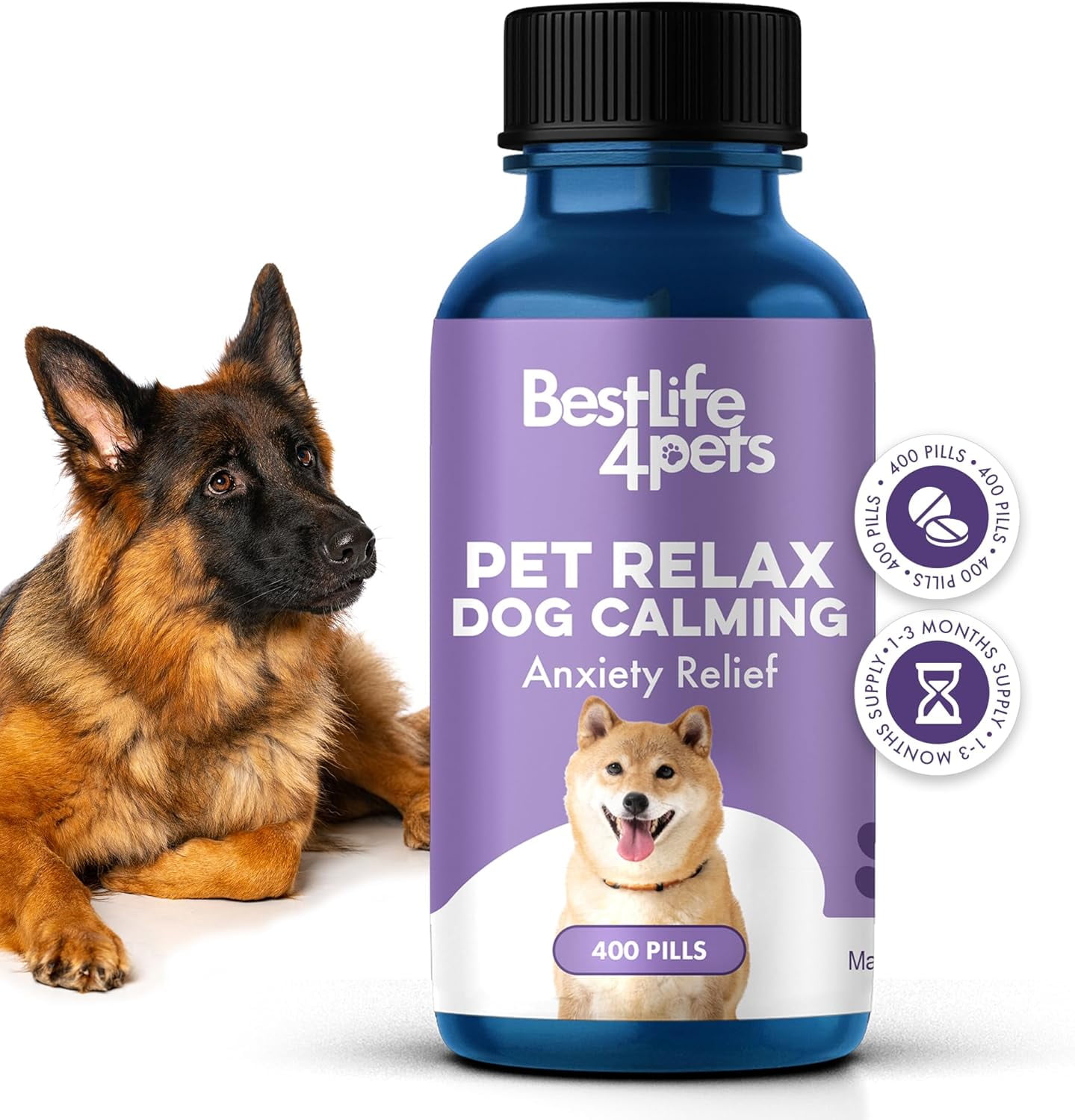 Medication for dog travel anxiety hotsell