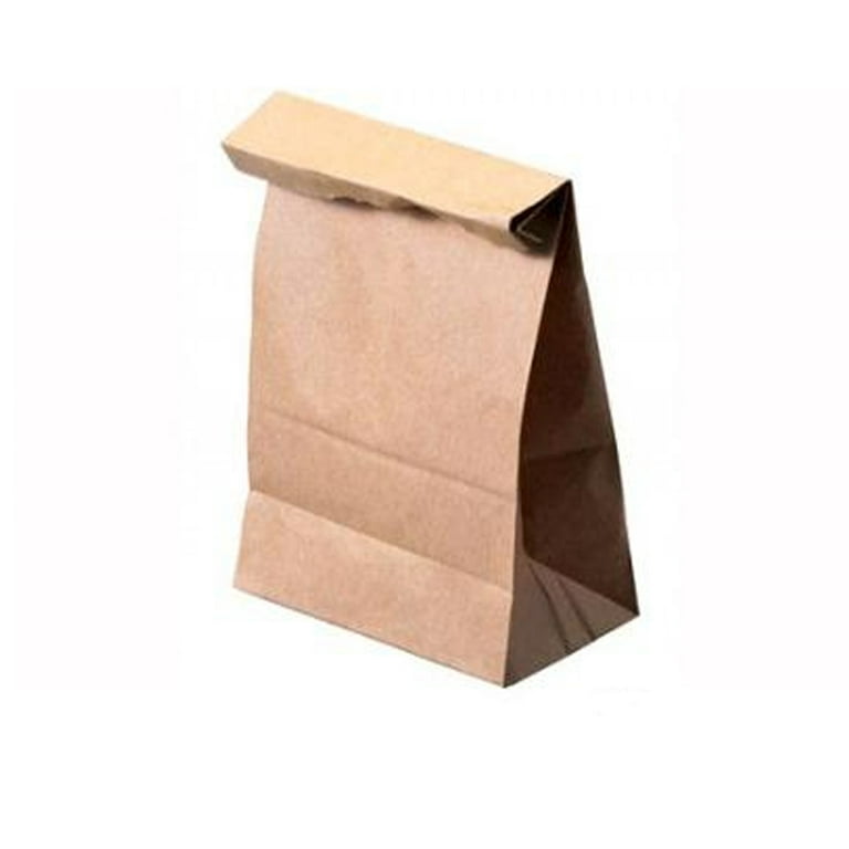 Cheer.US Kraft Brown Paper Bags, Brown Paper Lunch Bags Bread Bags Paper  Snack Bags for Packing Lunch - Blank Kraft Brown Paper Bags for Arts &  Crafts Projects,100% Recycled Kraft Lunch Bags 