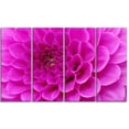 thumbnail image 2 of Fleur Violette avec Pétales en Gros Plan - Impression sur Toile Florale, 2 of 3
