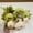 G, variant on European Style Core Peony Flower Arrangement for Home Table Dressing and Wedding Photography Decoration