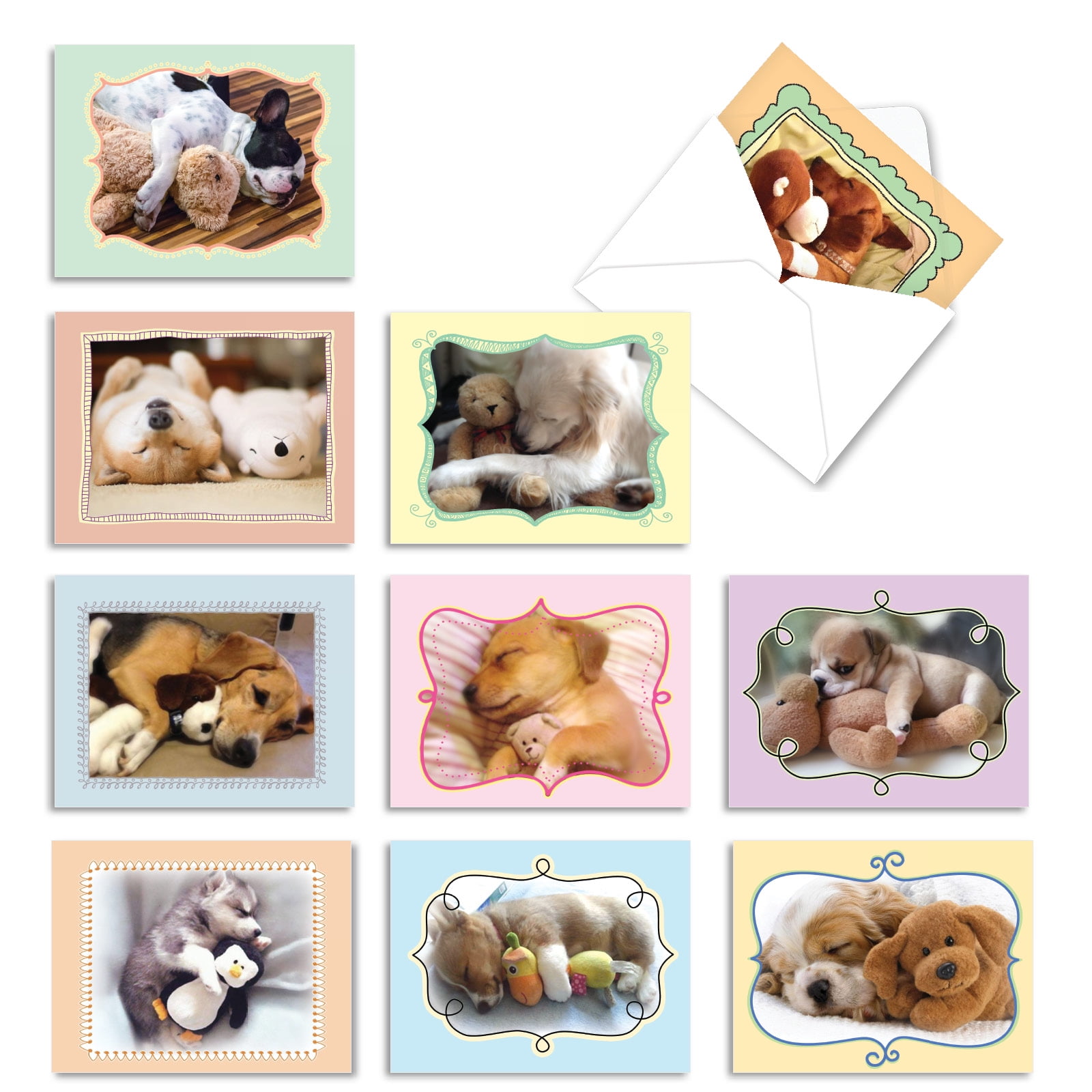 10 All Occasion Blank Note Cards Assorted (4 x 5.12 Inch) - CUDDLE BUDDIES M6469OCB