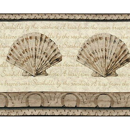 Seashell Border - 878692 Script Seashells Wallpaper Border KT003161b