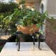 thumbnail image 5 of Plant Stand Outdoor 3 Pack Metal Plant Stand Durable Round Flower Pot Rustproof, 5 of 5