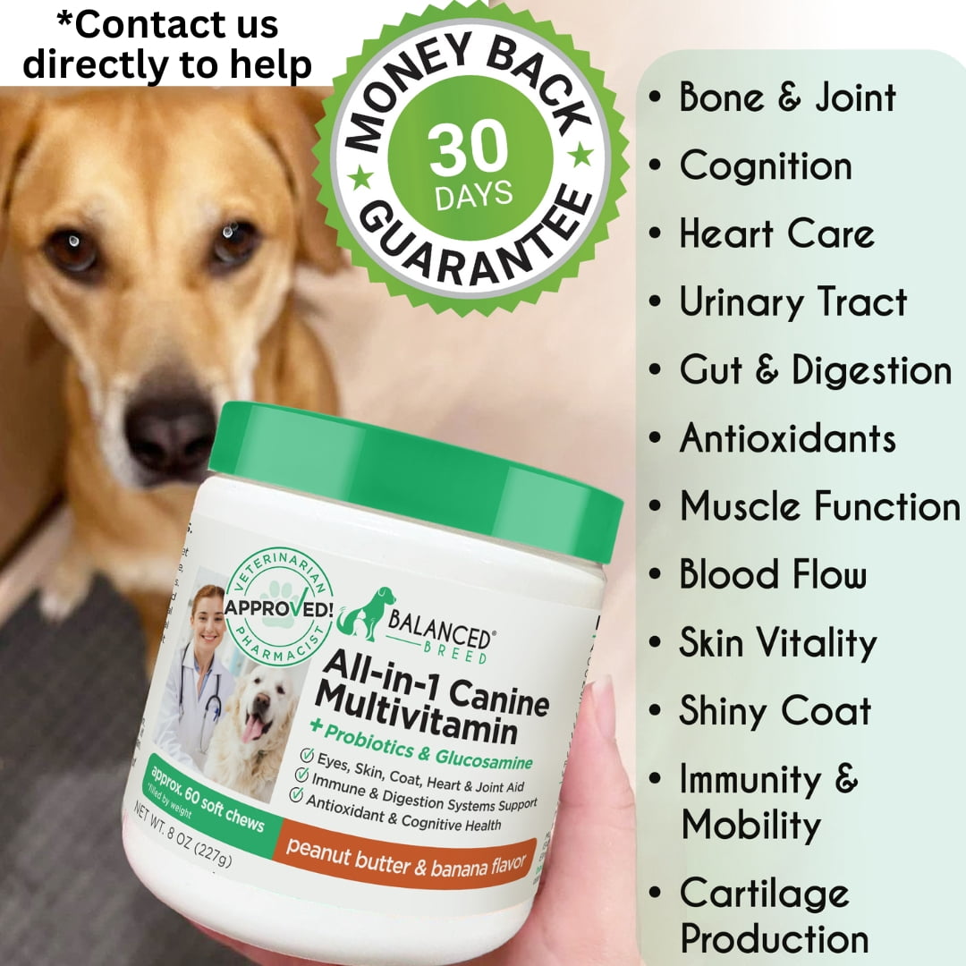Balanced Breed All-in-1 Dog Vitamins Supplement Skin Coat Hip Joint NonGMO Made in USA-60 Soft Chews