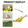 thumbnail image 6 of ICERUN Garden Statues,Resin Frog on Leaf Lounge Sculpture Yard Decor,Sunfade Resistant Outdoor Decorations for Yard,Style2, 6 of 7