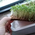 thumbnail image 6 of Raindrops Planter Pad Made of Coconuts Fiber 1Pack 23.58x15.72in, 6 of 8