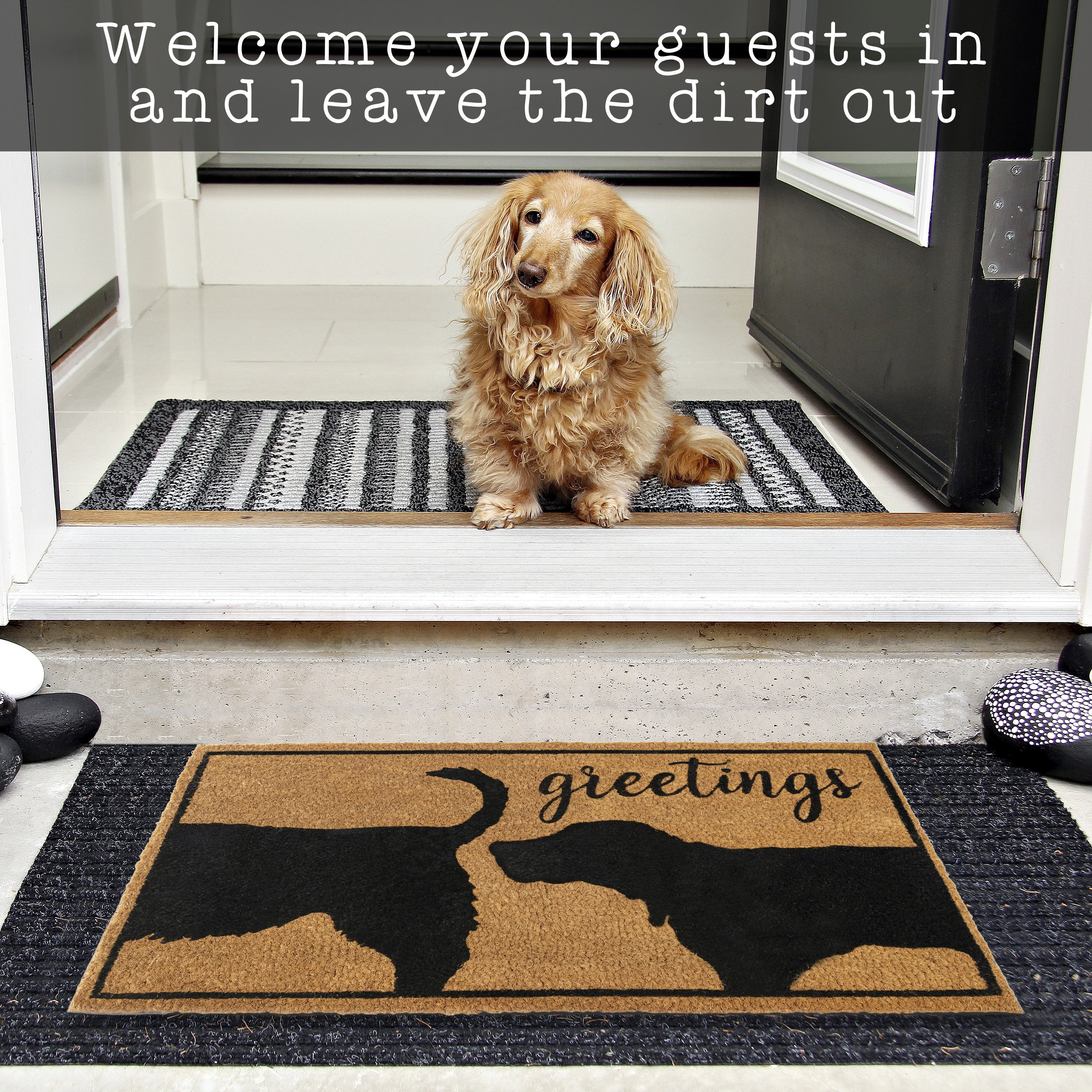 MAINEVENT Funny Dog Greetings Doormat 30x17 Inch, Outdoor Welcome Mat for Outside