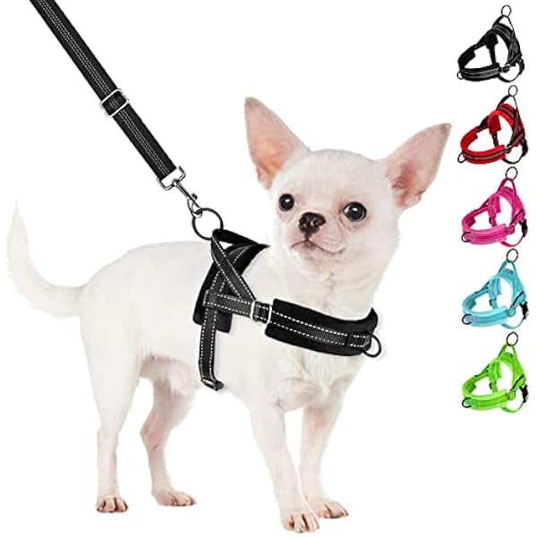 wonima02 No Pull Small Dog Harness and Leash Set, Puppy Soft Vest Harness Neck & Chest Adjustable, Reflective Lightweight Harness & Anti-Twist Pet Lead Combo for Small Medium Dogs (Black, XXS)