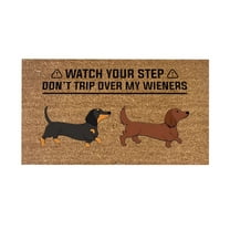Warehouse Clearance Cute And Funny Dog Welcome Mat Coco Coir Door Mat with Heavy Duty Backing, Welcome Doormat, Funny Welcome Outside Entry Decor for Patio Washable Mats for Entryway 16x24 In Brown