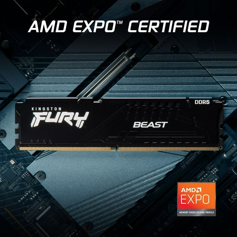 メモリー Kingston FURY Beast DDR5 16GBx4 6000MHz Kingston FURY™ Beast DDR5 RGB EXPO Desktop Memory | Next-Gen