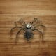 thumbnail image 1 of Kit de modelo de araña 3D, decoración hecha a mano, rompecabezas mecánico de metal, juego de modelos de ensamblaje para bar, regalos para niños,, 1 of 8