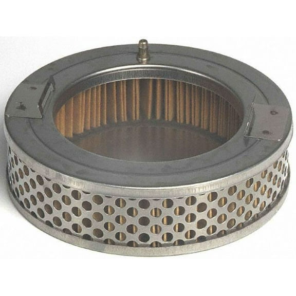 Carter STS-200 Fuel Pump Strainer Fits select: 1994 DODGE RAM 1500, 1991-1996 DODGE DAKOTA