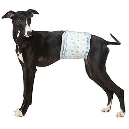 Pet Soft Enveloppes Jetables pour Chiens Mâles - Couches pour Chiens Mâles, Couches pour Chiot avec Indicateur d'Humidité 48 Unités Moyen