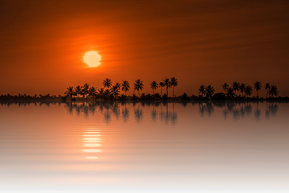 Peel-n-Stick Poster of Sun Tree Isolated Sunset Png Holiday Nature