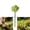 Green, variant on 2 Pack Bee Watering Station for Garden – Ceramics Bee Bath Feeder with Flower & Butterfly Design, Colorful Pollinator Drinking Water Bowl, Outdoor Yard Decor Stake for Bees & Butterflies